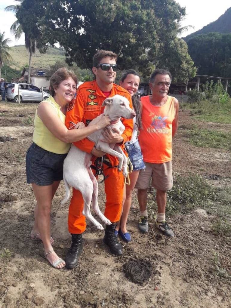 Bombeiros Resgatam Cão Perdido Há Onze Dias Em Mata De Conceição De Macabu Clique Diário 9584